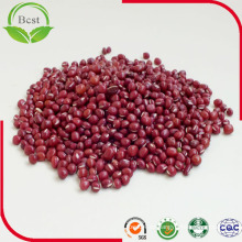 HPS Adzuki Bean 2016 Cultivo de frijoles rojos pequeños